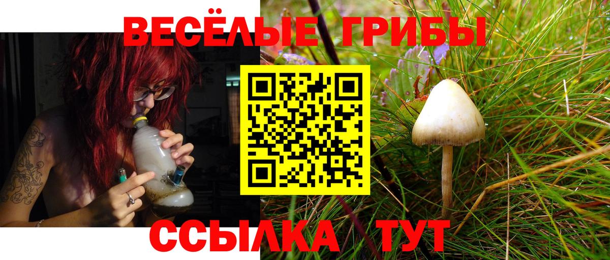 Галлюциногенные грибы GOLDEN TEACHER  Вход с VPN  Советск 